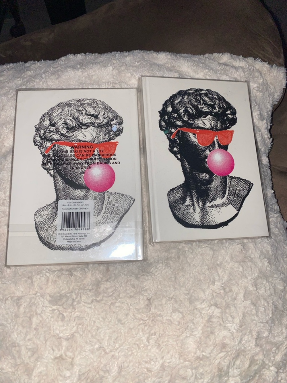 2 Pop Art Notebooks with Pink Bubblegum and Sunglasses